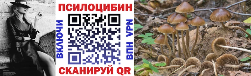 маркетплейс состав Дорогобуж Псилоцибиновые грибы Cubensis
