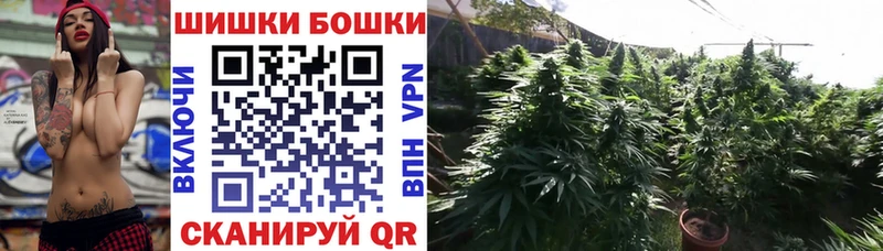 OMG зеркало  Дорогобуж  Шишки марихуана LSD WEED 